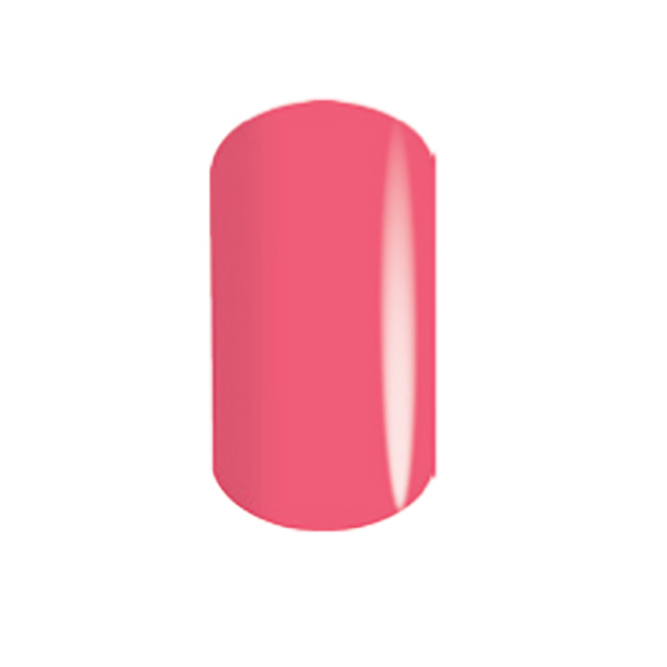 CORAL ROSE (C)
