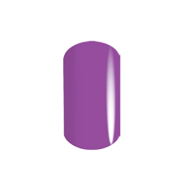 MAJESTIC VIOLET (C)
