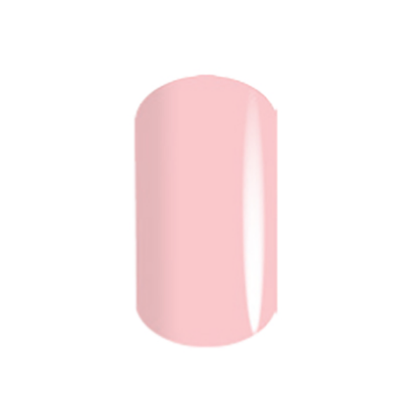 PINK CHINTZ (C)